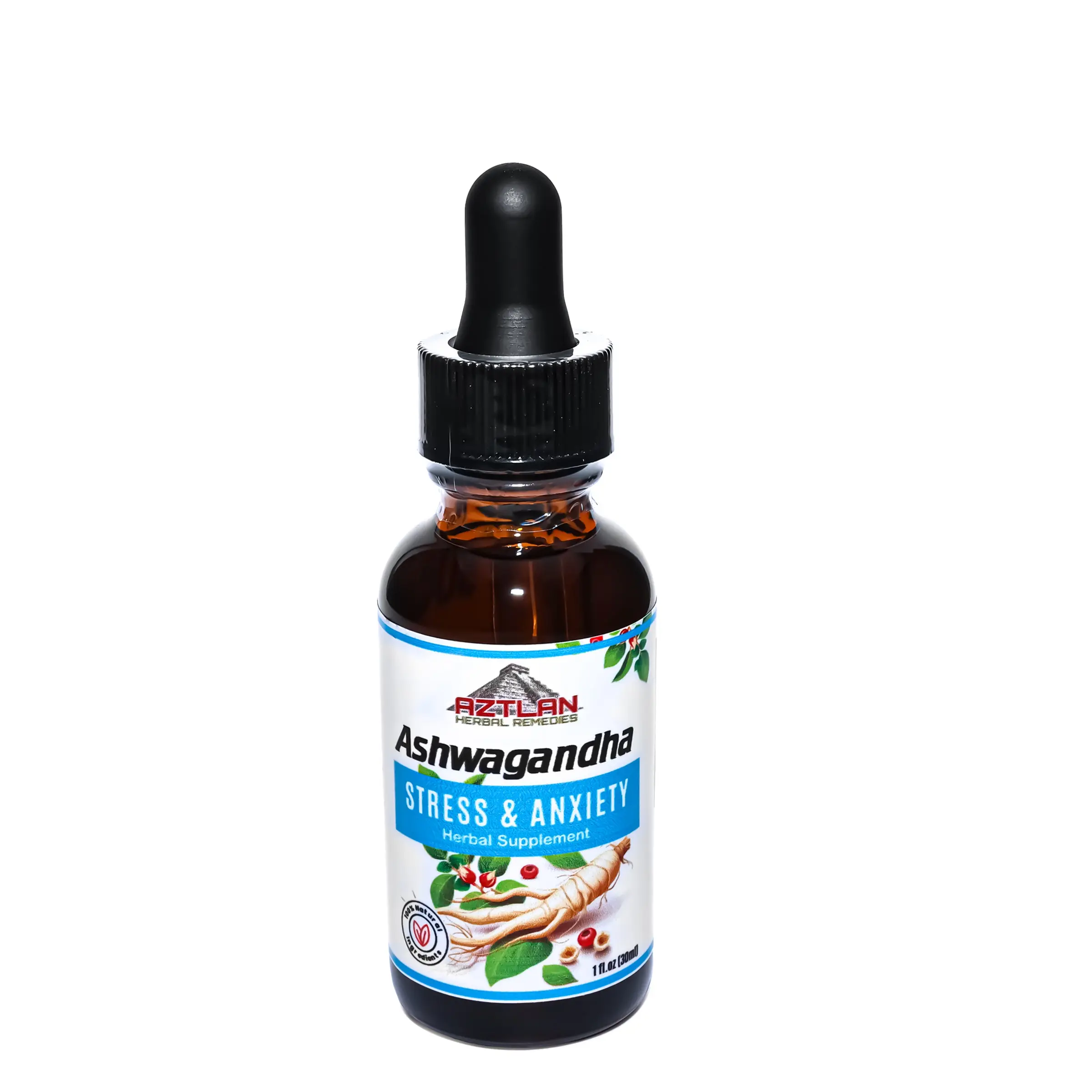 Ashwagandha Root Kids Tincture Alcohol-Free 1oz – Organic Stress Relief & Anxiety Support – Vegan Adaptogen Drops for Sleep, Mood & Immune Boost