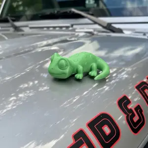 Big magnetic Gecko, The Exterior Gecko High Quality Magnetic Material