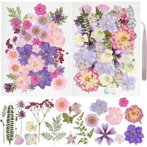 50Pcs Dried Pressed Flowers Resin Mould Real Pressed Flowers Natural Dry Leaves Bulk Mixed Colorful Daisy Herbs Kit with Tweezers for Scrapbooking DIY Candle Jewelry Crafts Making Nails(Purple)
