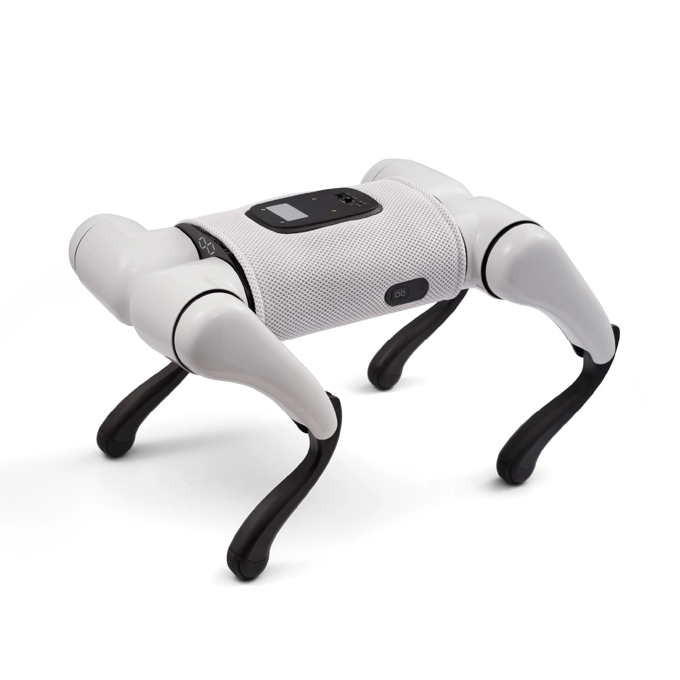 FX Navi, EAI Quadruped Robot for Companion, STEM Education and Personalized AI Experiences