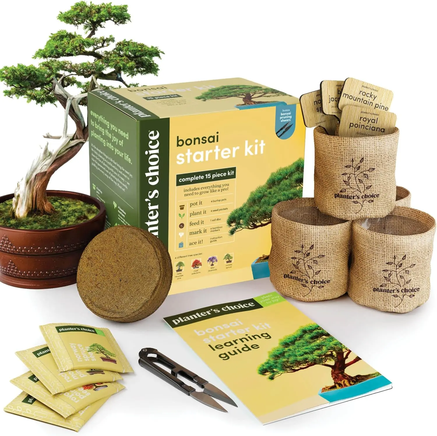 Bonsai Starter Kit - Engaging Garden Crafts Hobby Kit for Adults, Unique DIY Gardening Gift for Women - Home Improvement Garden Supplies from Planters' Choice Store
