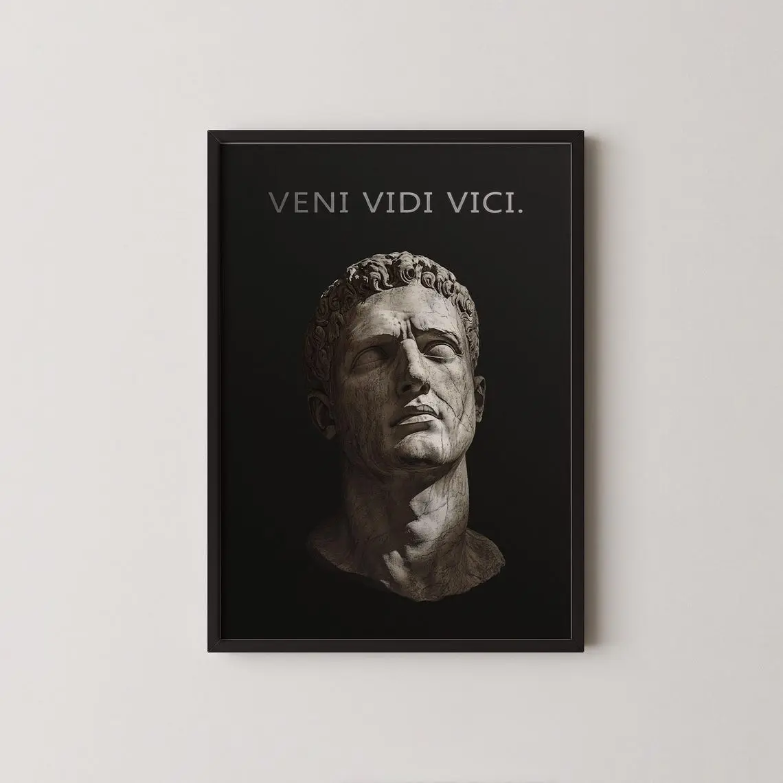 Veni Vidi Vici - Julius Caesar Wall Art