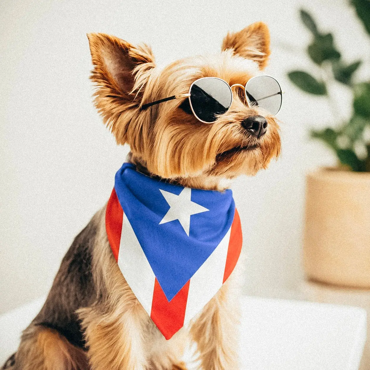 Puerto Rican-American flag bandana