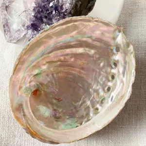 Abalone Incense Dish (FPOS)