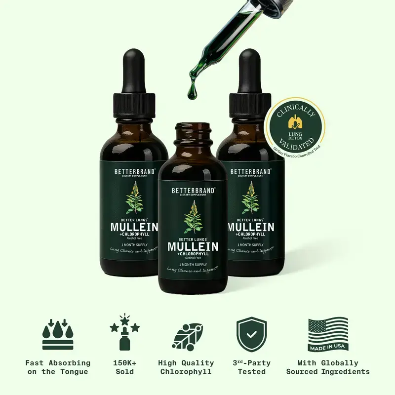 【3 Pack】Betterbrand Mullein Leaf & Chlorophyll Drops for Lung Detox & Mucus Cleanse - 30 Servings - Clinically Studied Natural Liquid Herbal Supplement for Respiratory Wellness