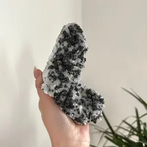 Rare Sphalerite Natural Crystal with Quartz from Panasqueira Mine, Portugal