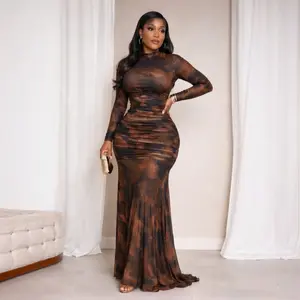 Women's  Sheer Mesh Dress, 2026 Elegant Long Sleeve Long Mesh Dress for Party Banquet, Ladies Summer Clothes, Fall, Casual Womenswear