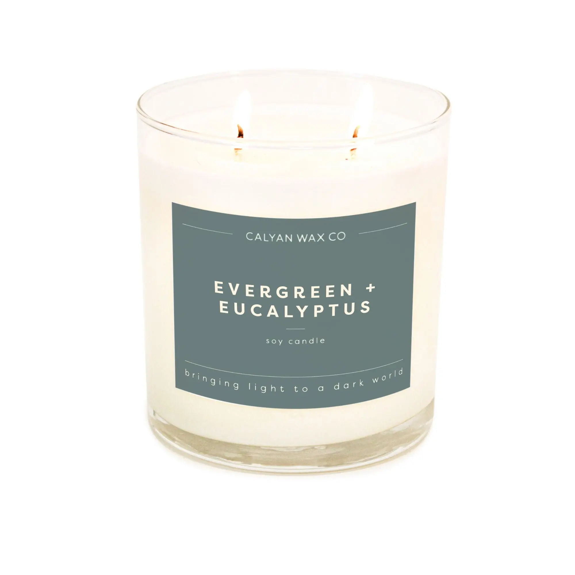 Evergreen + Eucalyptus 2-Wick Glass Tumbler Soy Candle TikTok