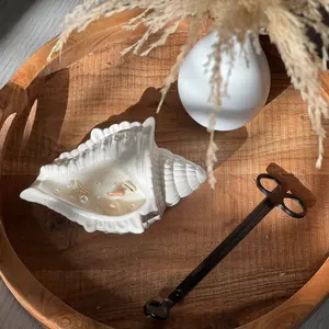 Conch shell candle Gift