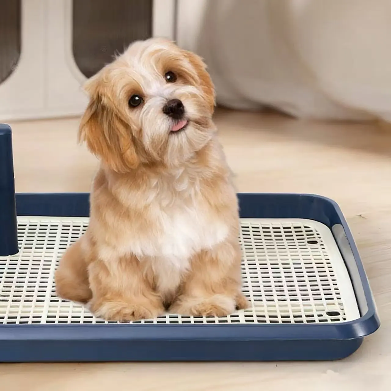New Pillar-Style Dog Puppy Toilet Open-Style Potty Pad Training Station Designated Potty Area Urine Tray Litter Tray