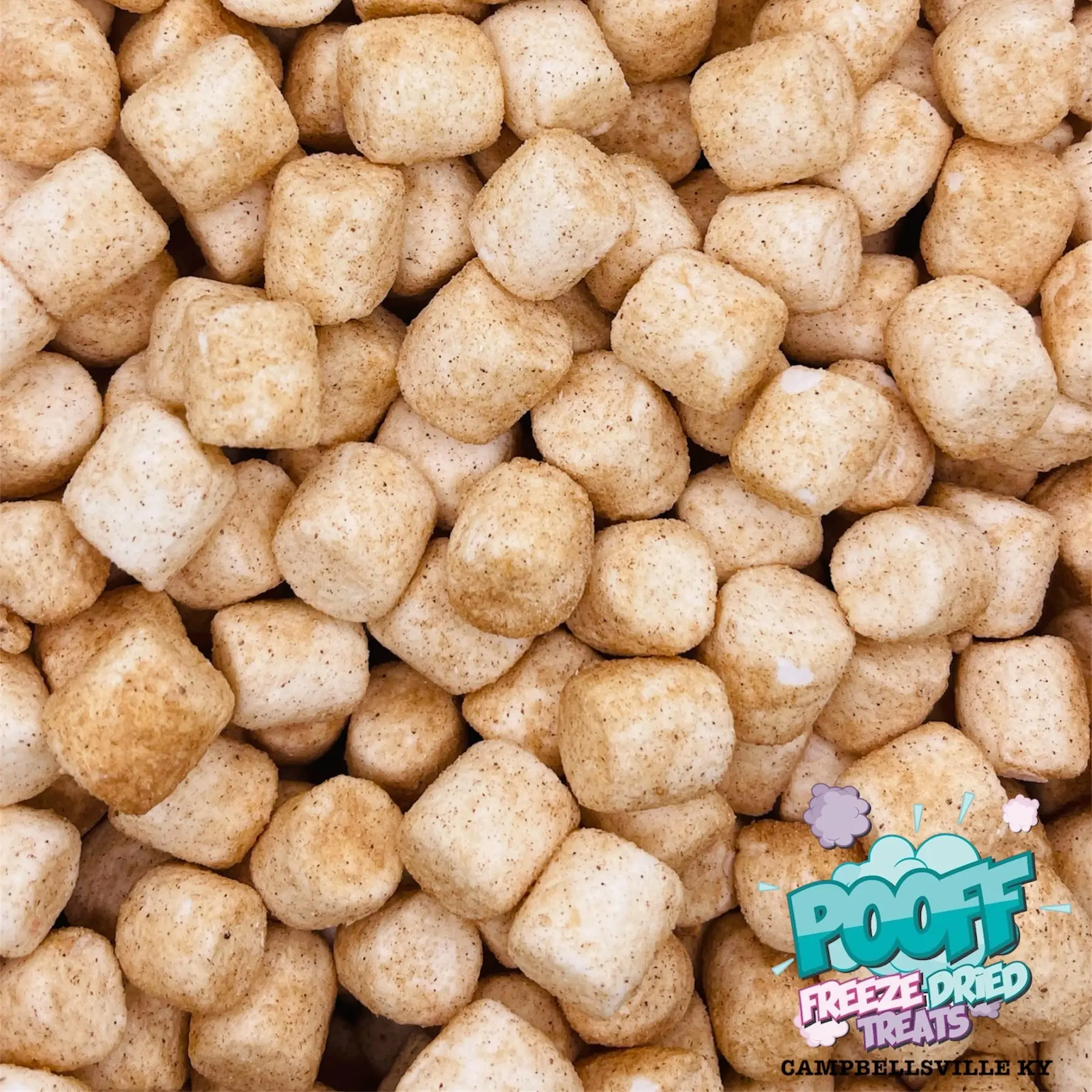 Freeze Dried Cinnamon Maple Marshmallows