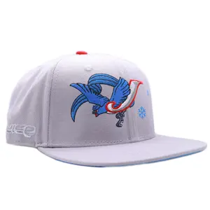 Fitted Baseball Cap Embroidered Hat - Clothes Accessory