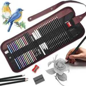 Drawing Pencils Sketch Pencil Art Supplies Set Art School Supplies for Adults Professional Sketching Art Graphite Charcoal Blending Stump Pencils kit (14/29/38 art supplies)