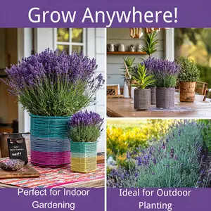 3000pcs English Lavender Seeds – Fragrant Herb Flowers for Indoor & Outdoor Planting – High Germination Lavender (Lavandula angustifolia) – Perfect for Garden, Pots & Home Decor