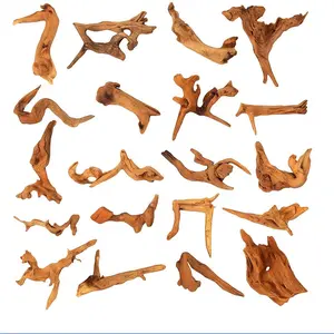Coral Branch Driftwood | Natural Aquarium Aquascaping Wood (3-5 in) Pick Your Piece