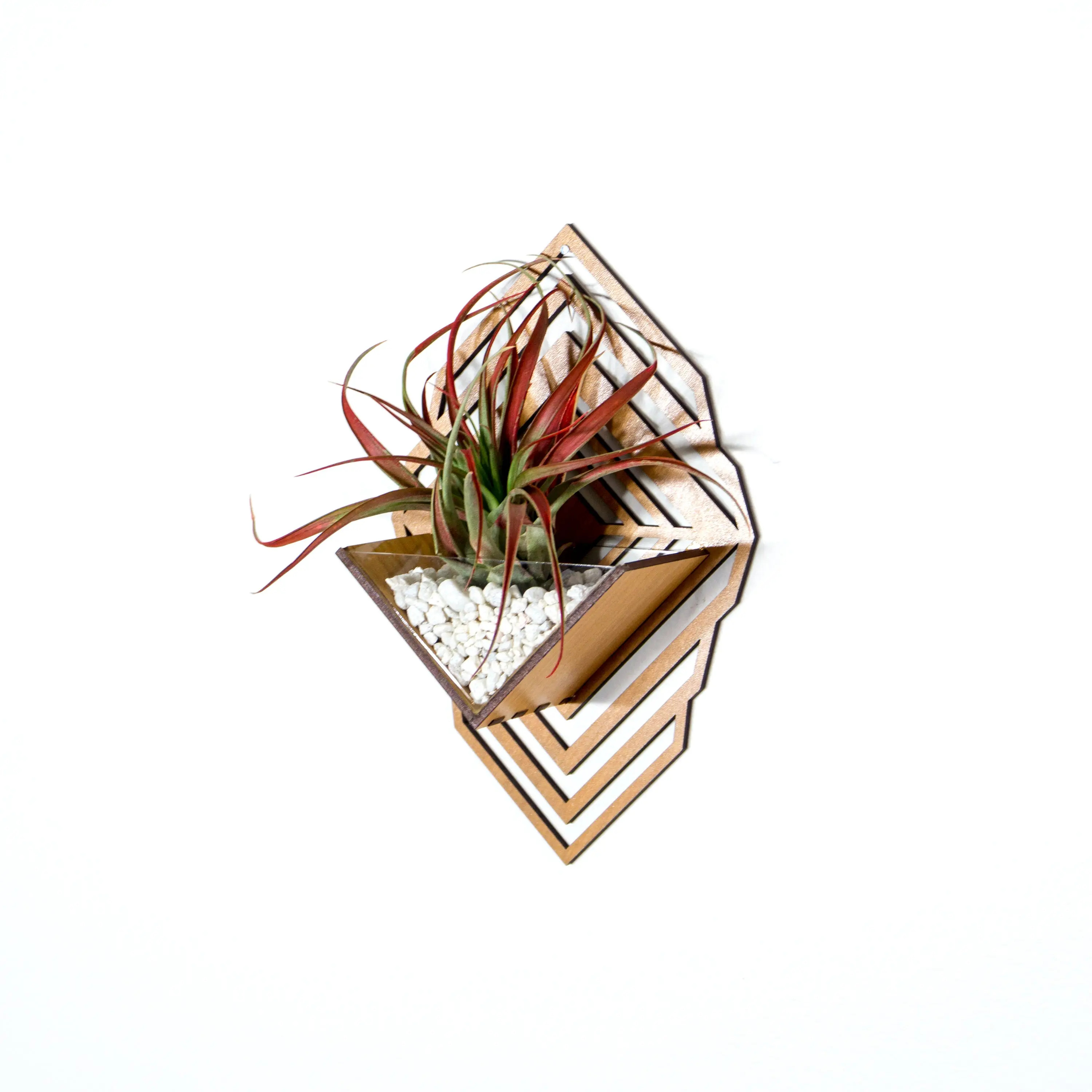 Handmade Wood Air Plant Holder Sconce Wall Planter (M) - Air Plant Hanger - Wall Mounted Receptacle for Tillandsia, Cacti & Succulents - 5.5" Width x 8.6" Height