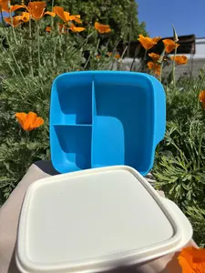 C2-Eco luch divicion 550 ml