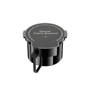Modern Car Fragrance Explosive Mist Scenic Car Aromatherapy Diffuser Refill Spray, Vehicle Interior Deodorizer