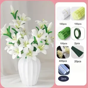 720-Piece Lily Flower Twist Rod Cleaning Kit, DIY Floral Art Project Set, Party Decoration, Creative Gift, Craft Supplies