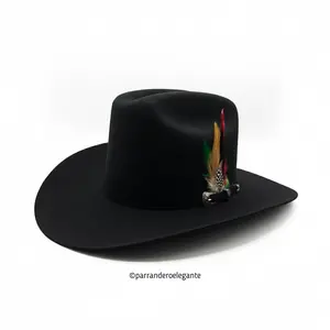 White Diamond Sinaloa Texana Wool Felt Hat - Black, Chocolate