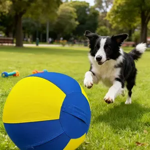 Pet Cartoon Colorblock Toy with Handle, Dog Chase Ball, Includes Air Pump, Fun Pet Toy for Dogs, Interactive Playtime Gift