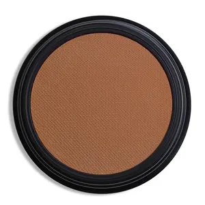 Color Arm Single Light Brown Eyeshadow Pressed Powder Matte Eye Shadow Palette Make Up Blendable Long Lasting High Pigment Brown Eye Makeup Halloween Eye Paint Face Body Paint US