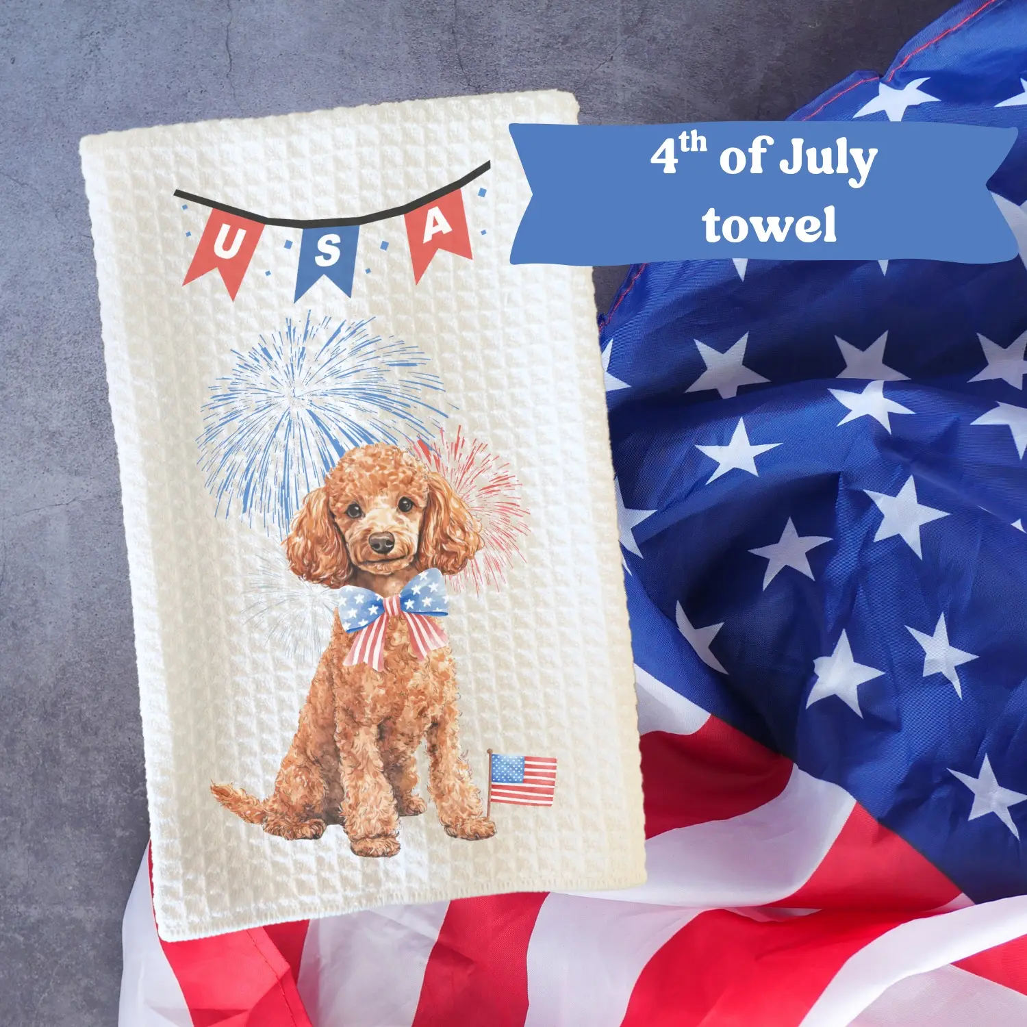 Poodle (standard) #2