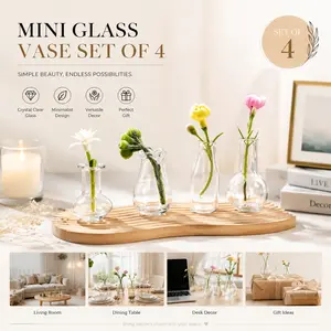 4 Piece Transparent Mini Glass Vase Set, Vintage Style Home Decor, Dollhouse DIY Photography Props, Flower Pots and Incense Bottles