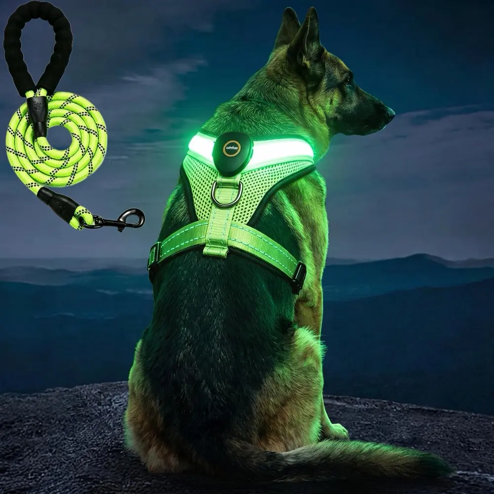 Light Up Dog Harness, No Pull LED Dog Harness , Rechargeable Lighted Safety Vest for Small Medium Large Dogs, Adjustable Soft Dog Lights for Night Walking Send traction rope perfect fit collar secure buckle petproducts escape proof leash set reflective in