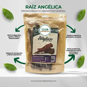 Angelica Root Premium 4 oz Herbal Tea Bag – Traditional Herbal Infusion, Aromatic & Naturally Caffeine-Free – Herbal Beverage