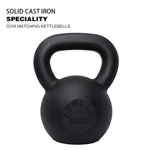 45LB Powder Coated Cast Iron Kettlebell for Men and Women's Gym, Same Family Kettlebell