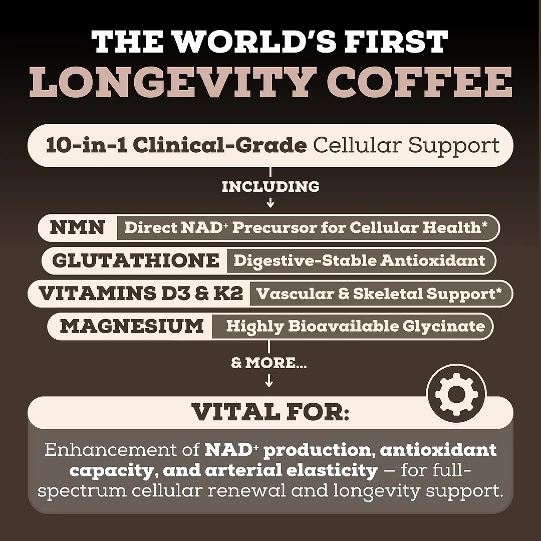 4 Bottles of Longevity Mix Mocha Coffee with NMN, Glutathione, Magnesium  Glycinate, TMG, Vitamin D3, C, K2, B12, Cocoa Powder, Instant Coffee | 120  Servings - Gluten - Free Sugar - Free Non GMO