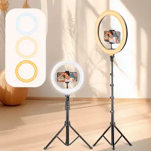 10" Professional Selife Video Light Vlogging Kit with 63" Telescopic Tripod, Tri-Color LED Panel 2700K-5600K Ideal for Studio-Quality Fill Lighting - Perfect for Makeup Artists TikTok Creators Live Streaming, Smartphone Videos#Easter Day