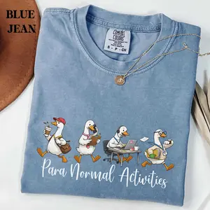 Paraprofessional Silly Goose Shirt, Para Normal Activities Tee, Sped Squad RBT Gift, Teacher Aide Appreciation