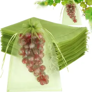 100 Fruit Net Bags with Drawstring, Fruit Protection Mesh Bags for Trees, Mangoes, Tomatoes, Vegetables, Garden Pest Control