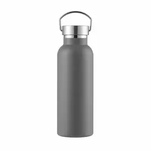 Stainless Steel Sports Water Bottle, 500ML Single Layer Durable Metal Mug, Ideal for Camping and Gym Use, Lightweight Drink Container