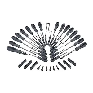 Master Mechanic Screwdriver & Bits Made of Chrome Vanadium Steel, 100 Piece Set