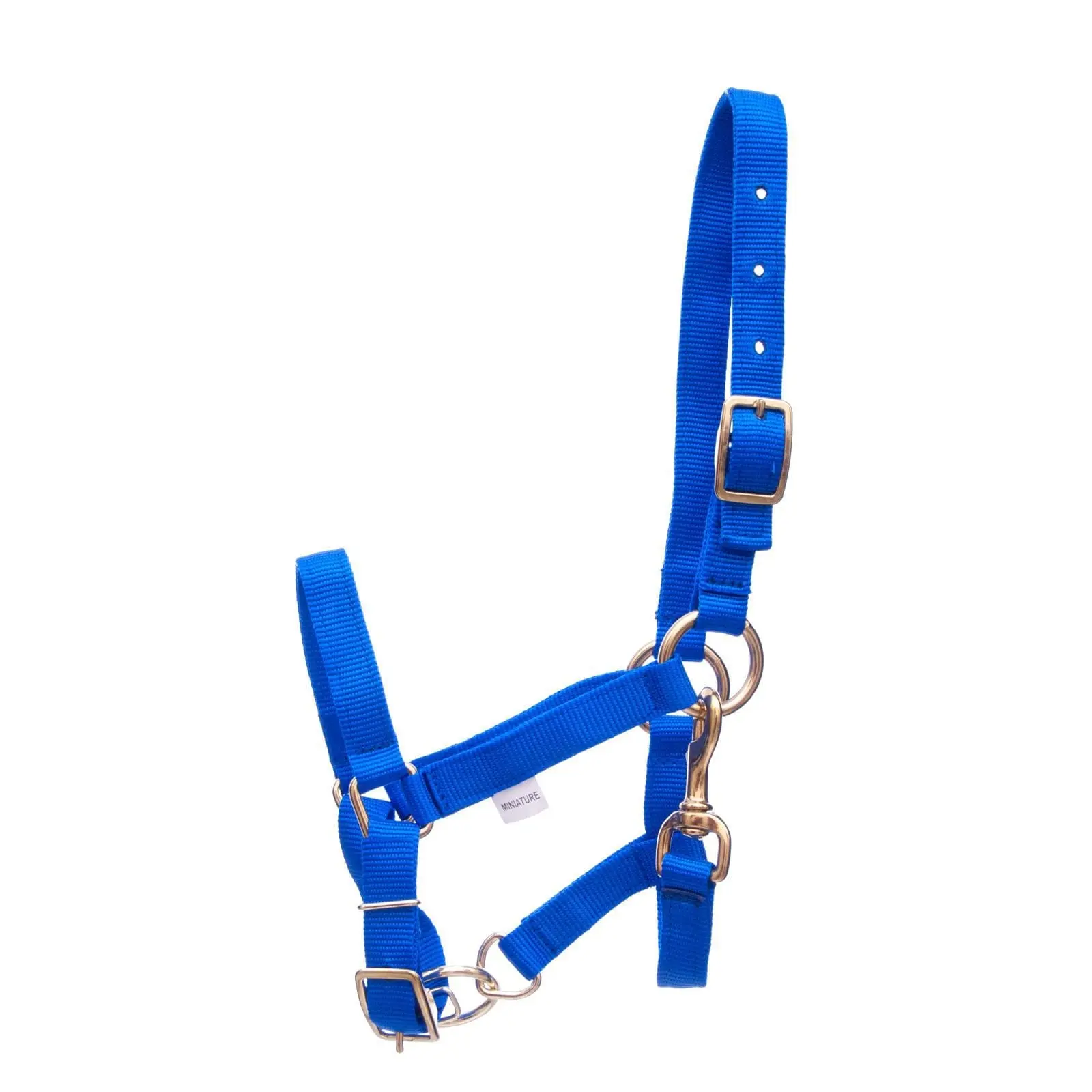 Jeffers Adjustable Nylon Miniature Horse Halter Jeffers Adjustable Nylon Miniature Horse Halter