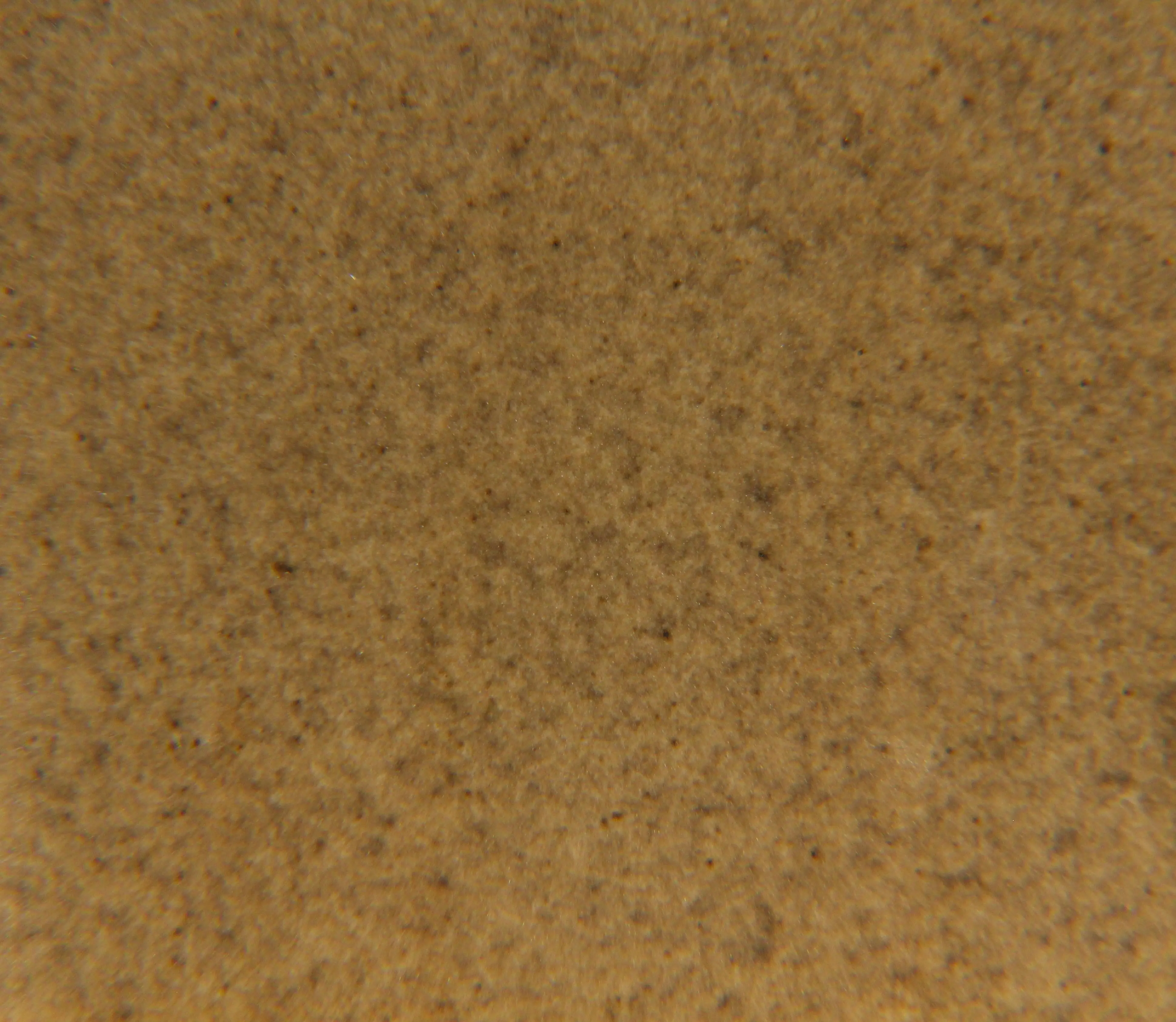Sandy Beach Matté Brush On Glaze Cone 5-9 Mid Fire Ceramic Pottery Glaze