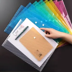 Colorful Transparent A4 File Folder, PP Plastic Student Organizer, Convenient School Supplies Storage Solution, Files Organizer