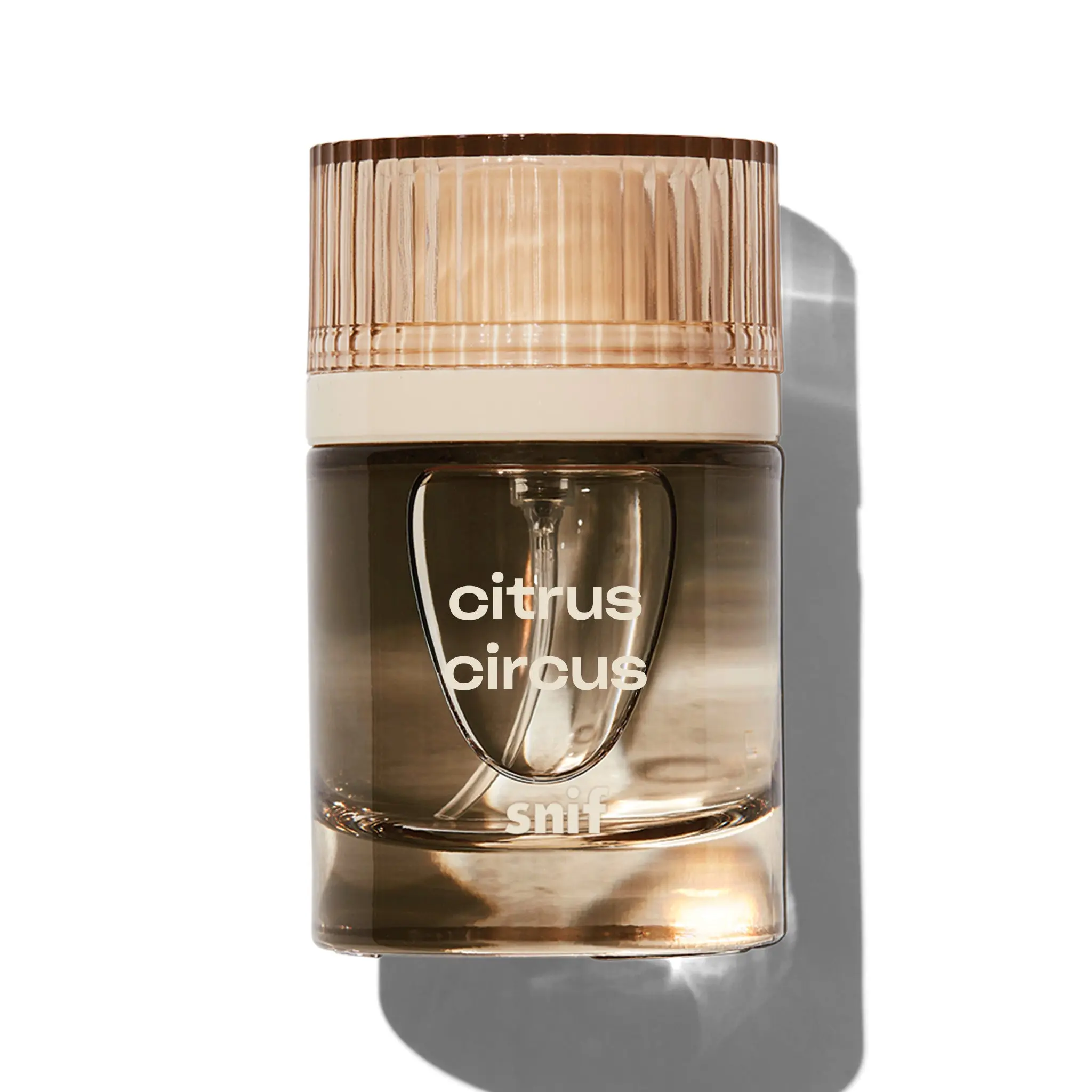 CITRUS CIRCUS - CREAMSICLE AND WHITE AMBER FRAGRANCE