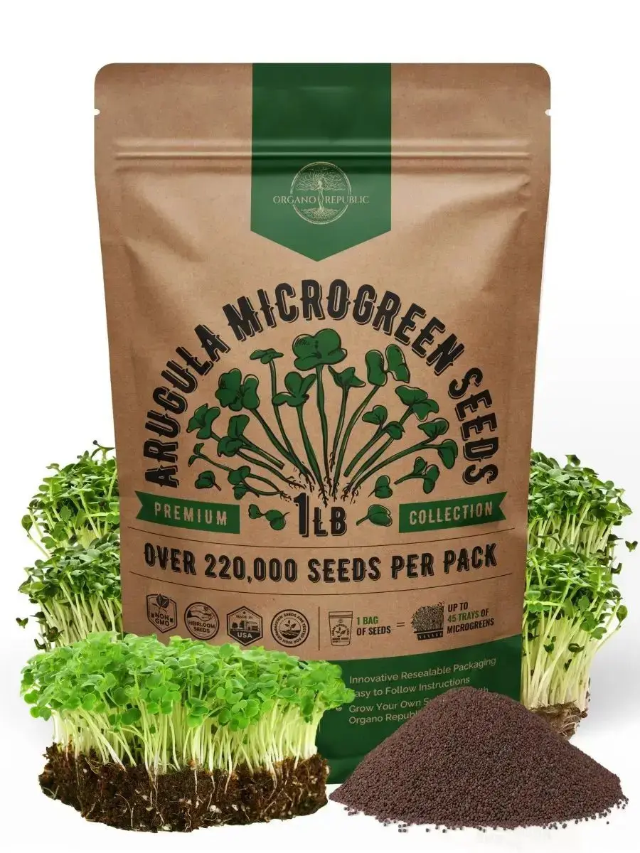 Arugula Microgreens Seeds – Non-GMO Heirloom Arugula Microgreens Seeds – Non-GMO Heirloom