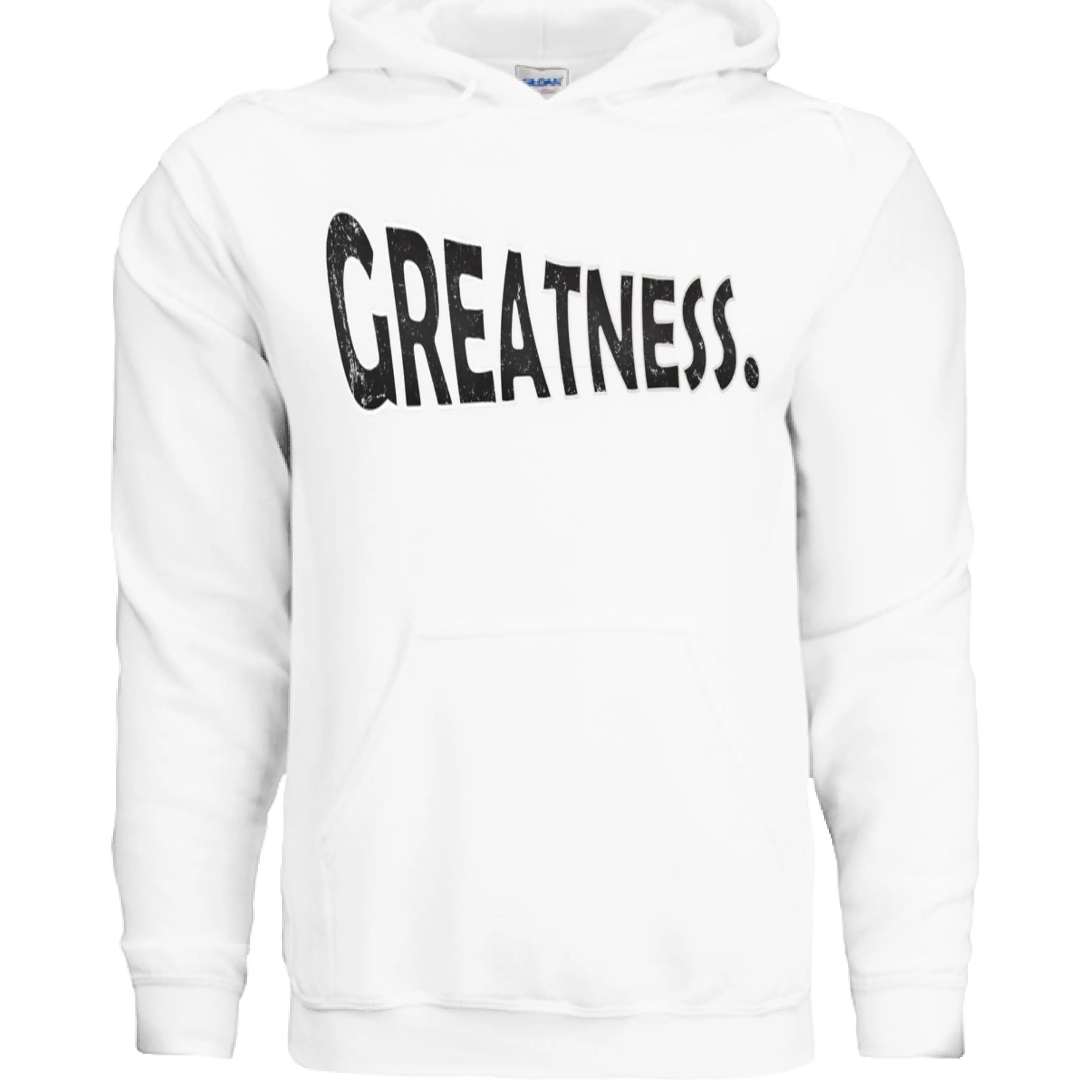 GREATNESS HOODIE 1