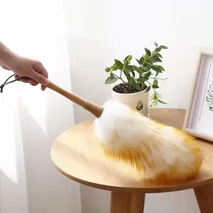 Household Feather Duster