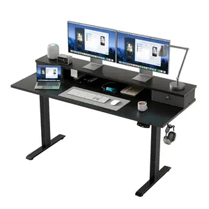 Electric Standing Desk with 2 Drawers, Height Adjustable Desk with 2 Memory Keys, Ergonomic Sit-Stand Computer Desk with Hooks for Home Office,Gaming Desks Gifts for Men and Women,Black,White,Rustic Brown