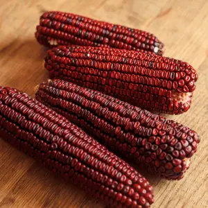 Jimmy Red Corn