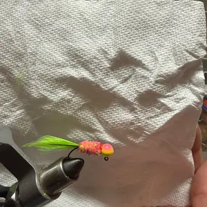 Electric chicken Electric chicken