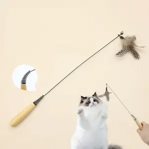 Cat Teaser Wand with Long Handle, Detachable Feather and Bell Tips, Interactive Cat Toy for Pets