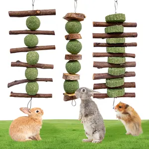 3 Pcs Bunny Chew Toys  for Teeth Grinding, Improve Dental Health, Treats for Rabbits Guinea Pigs Chinchillas Bunnies Hamsters