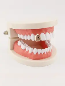 Hiphop Gold Teeth Grillz Single Tooth, Rapper Style Hip Hop Aesthetic Street Cred Gold Teeth, Streetwear Trendy Unique Personalized Jewelry Statement Piece, Real Gold Plated, Accessory, All Seasons